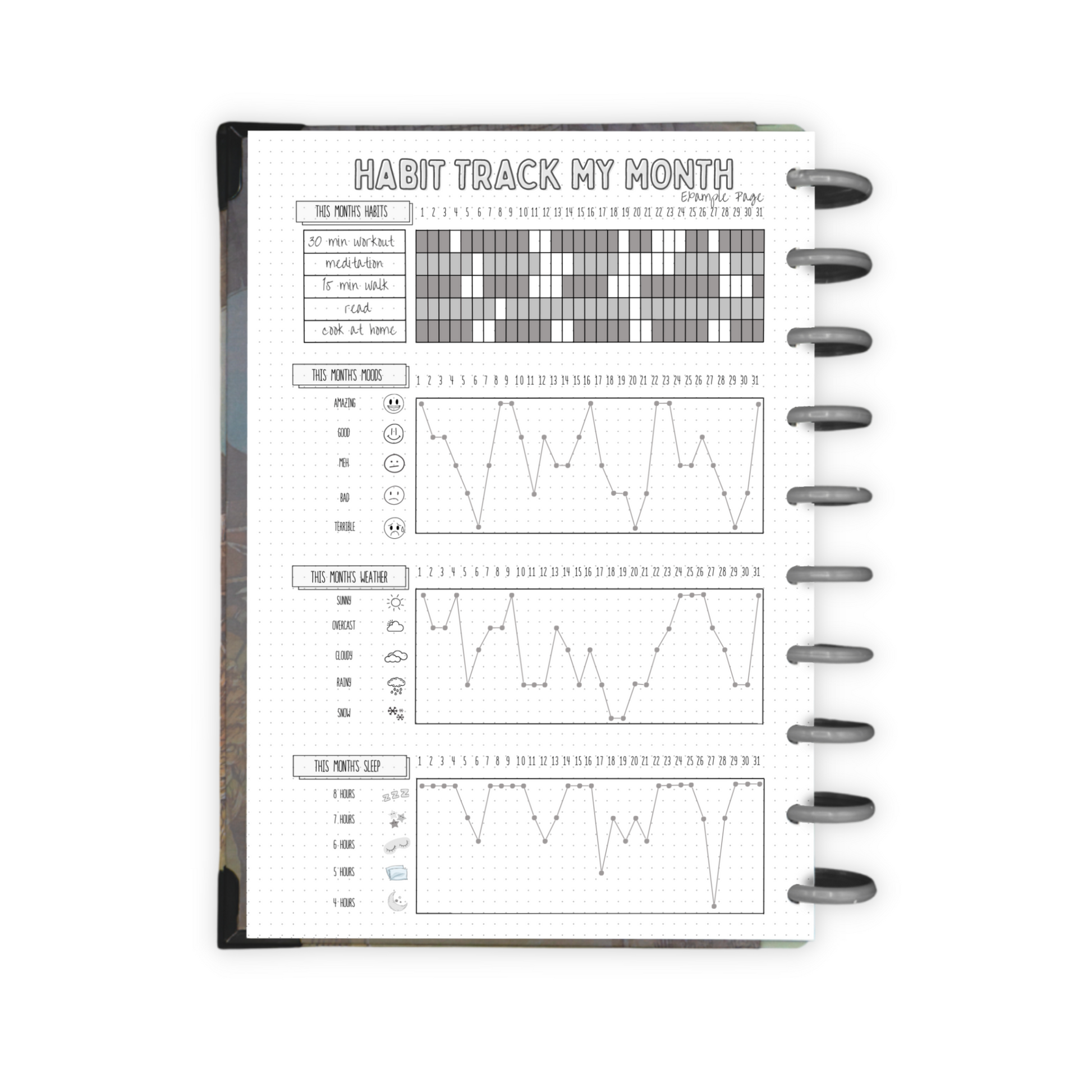 "Habit Track My Month" example page in a planner