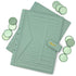 Green faux leather planner covers and green discs