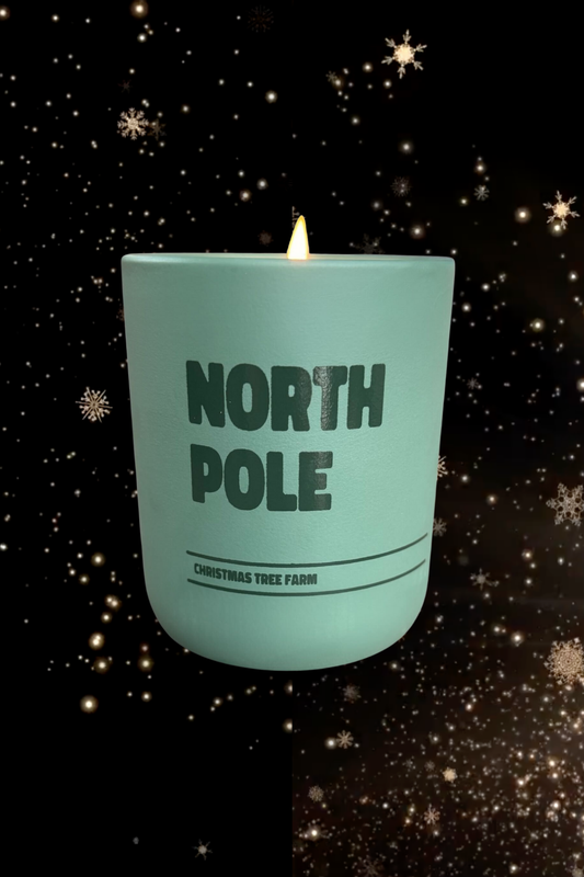 THE DAILY HOME | North Pole