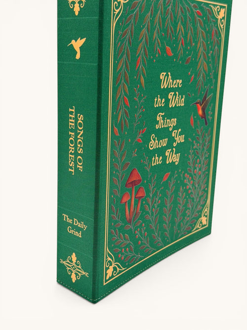 Songs of the Forest | Bookbound Cover