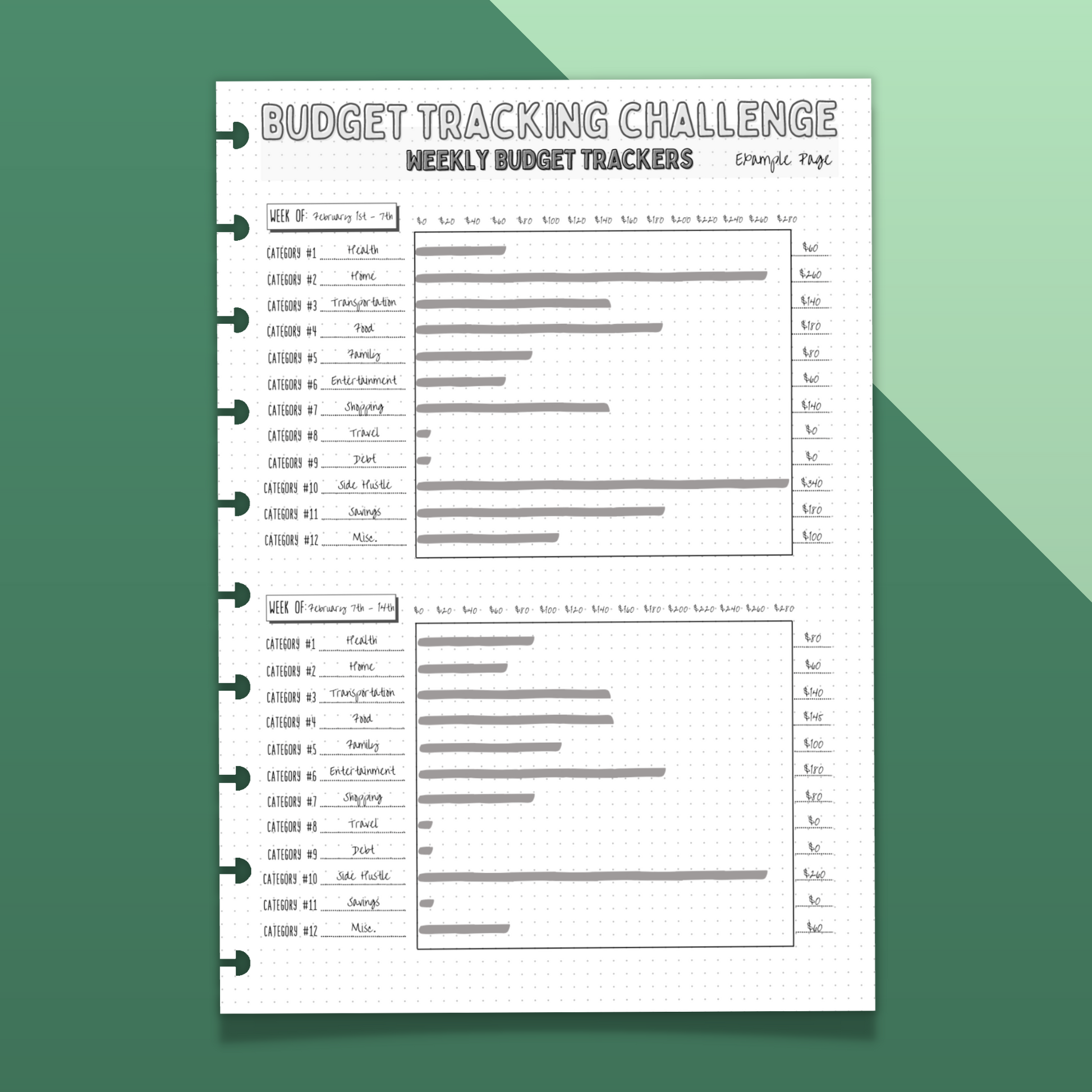 Preview of "Budget Tracking Challenge Weekly Budget Trackers Example Page"